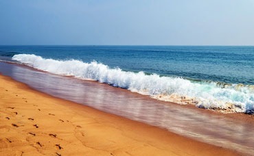 গোপালপুর- পুরী-ধৌলিগিরির ভিড় এড়িয়ে যেতে পারেন গোপালপুরে। সমুদ্রতট নির্জন, একেবারে শান্ত। ভুবনেশ্বর থেকে প্রায় ১৬০ কিলোমিটার। বাসে বা ট্রেনে সহজে পৌঁছনো যায়। বাজেট হোটেল মিলবে ১২০০–১৮০০ টাকায়।